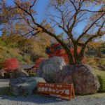 西湖 湖畔キャンプ場